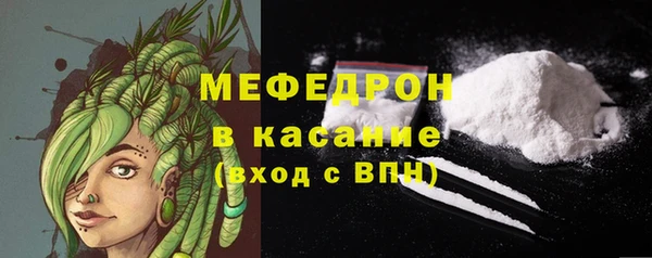 индика Арсеньев