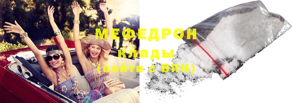 индика Арсеньев