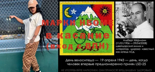 индика Арсеньев
