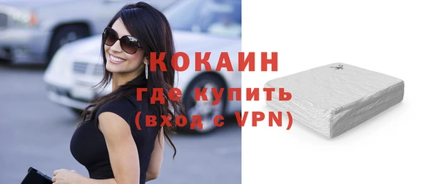 индика Арсеньев