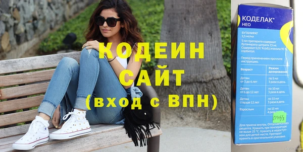 индика Арсеньев