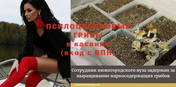 соль курить ск Аркадак