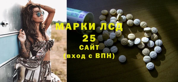 индика Арсеньев