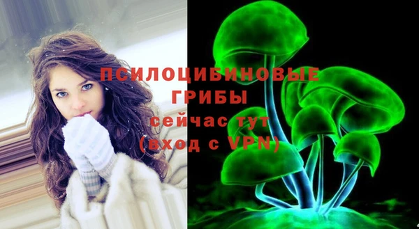 mdpv Армянск