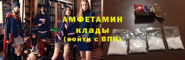индика Арсеньев
