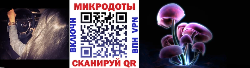 купить   Нарткала  ссылка на мегу как зайти  Галлюциногенные грибы мухоморы 